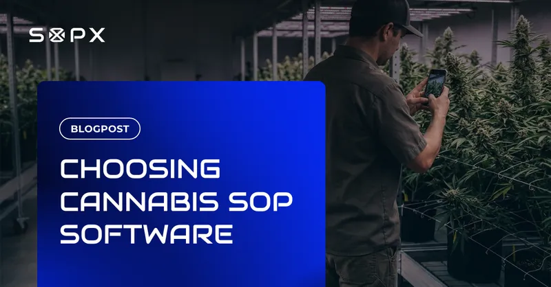 Cannabis grower filming a cultivation task on a phone to build a step-by-step SOP.